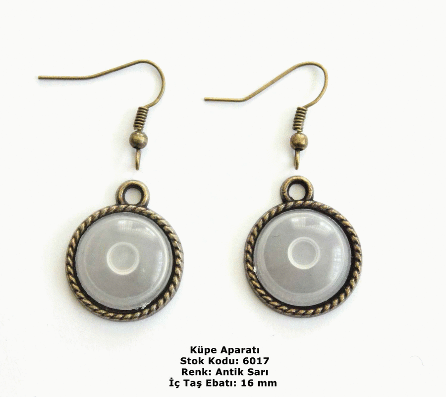 Küpe Aparatı 6017