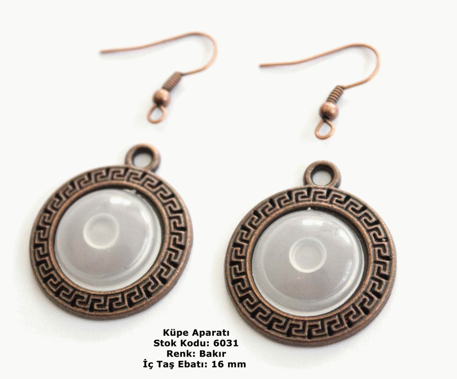 Küpe Aparatı 6031