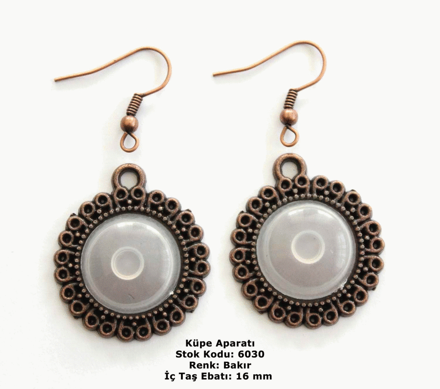 Küpe Aparatı 6030