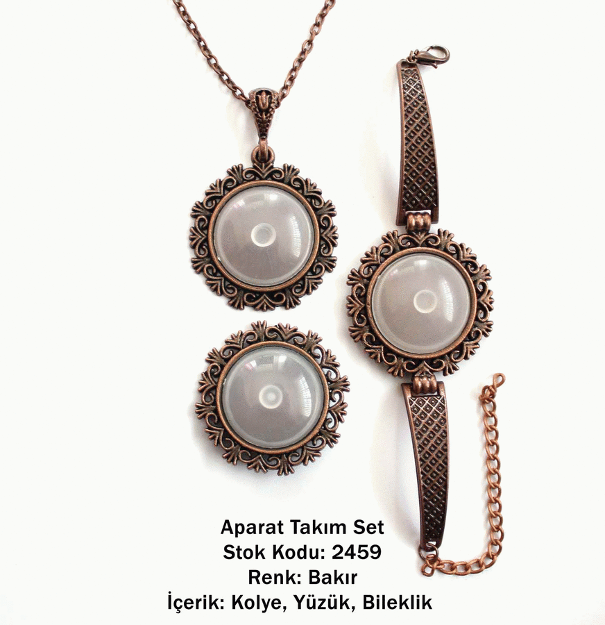 Kolye Bileklik Yüzük Aparat Takım Set 2459 Bakır Kaplama