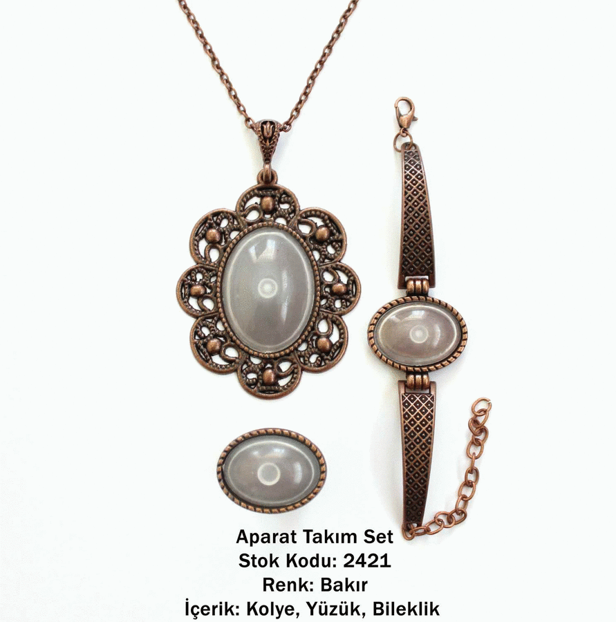 Kolye Bileklik Yüzük Aparat Takım Set 2421 Bakır Kaplama