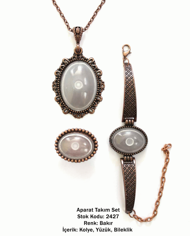 Kolye Bileklik Yüzük Aparat Takım Set 2427 Bakır Kaplama