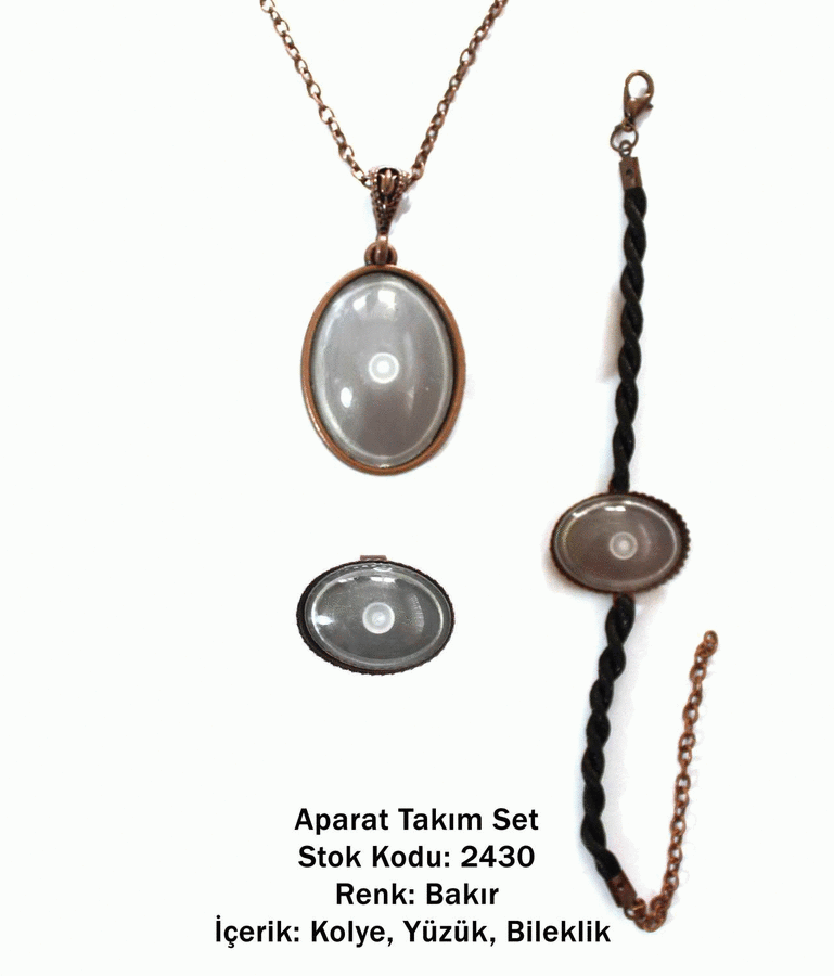 Kolye Bileklik Yüzük Aparat Takım Set 2430 Bakır Kaplama
