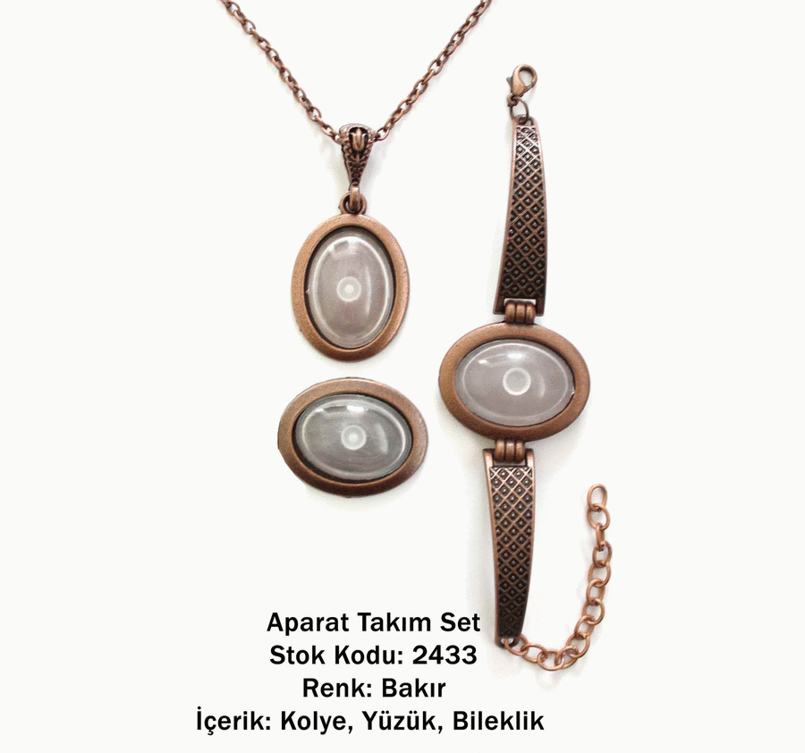 Kolye Bileklik Yüzük Aparat Takım Set 2433 Bakır Kaplama