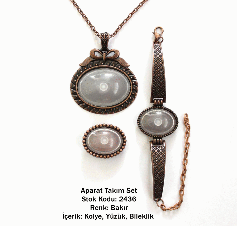 Kolye Bileklik Yüzük Aparat Takım Set 2436 Bakır Kaplama