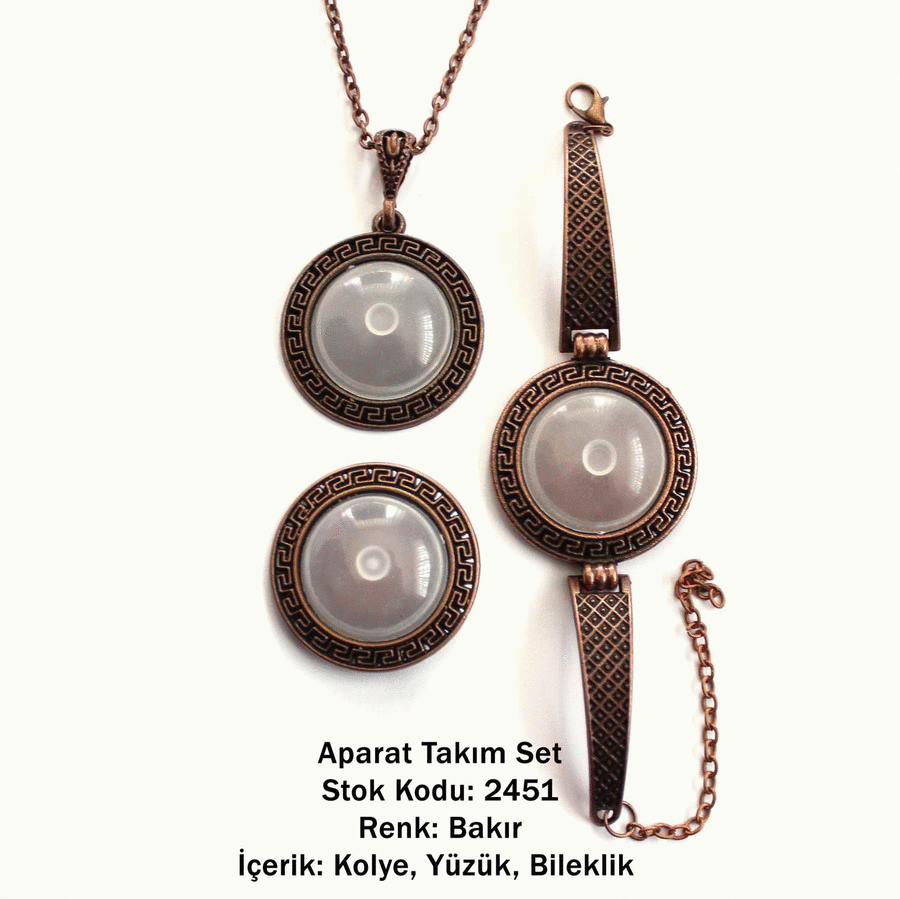 Kolye Bileklik Yüzük Aparat Takım Set 2451 Bakır Kaplama