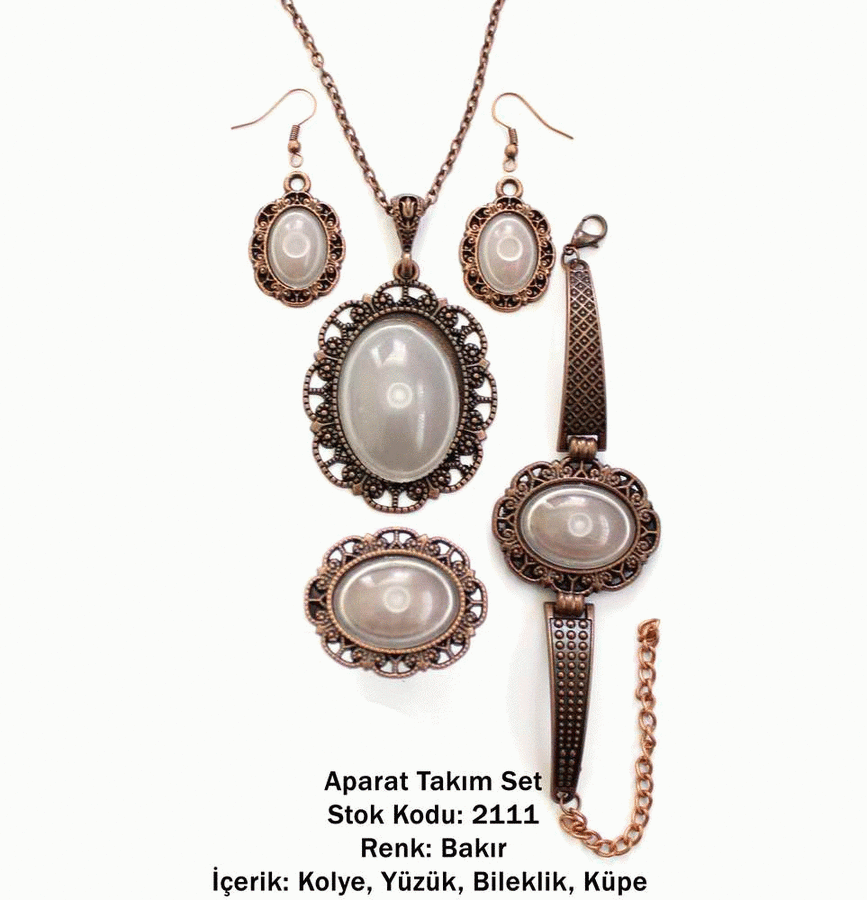 Kolye Bileklik Yüzük Küpe Aparat Takım Set 2111 Bakır Kaplama