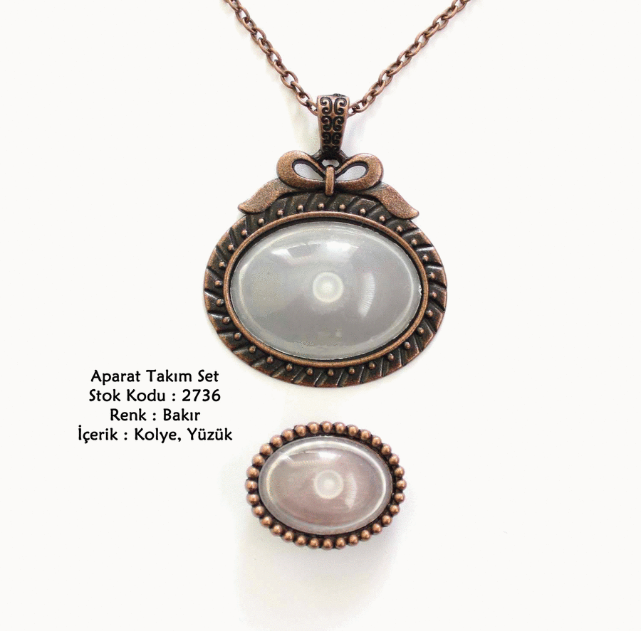 Kolye Yüzük Aparat Takım Set 2736 Bakır Kaplama