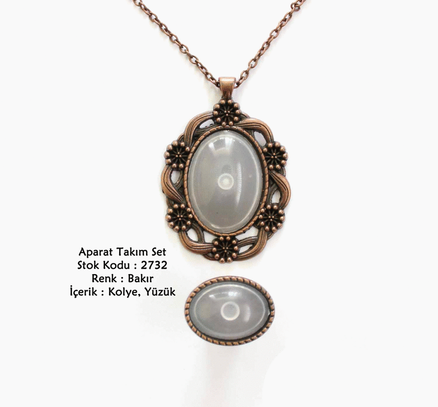 Kolye Yüzük Aparat Takım Set 2732 Bakır Kaplama