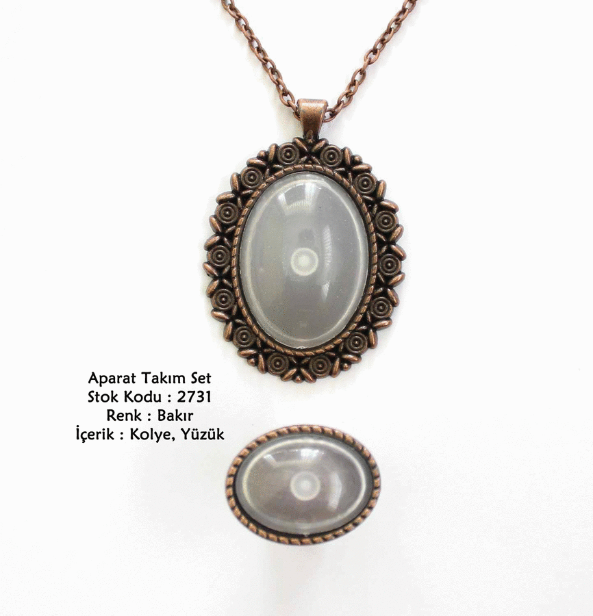 Kolye Yüzük Aparat Takım Set 2731 Bakır Kaplama