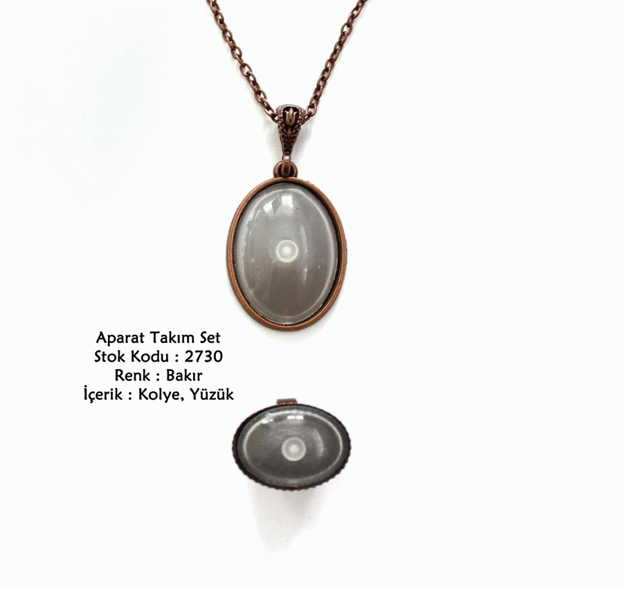 Kolye Yüzük Aparat Takım Set 2730 Bakır Kaplama