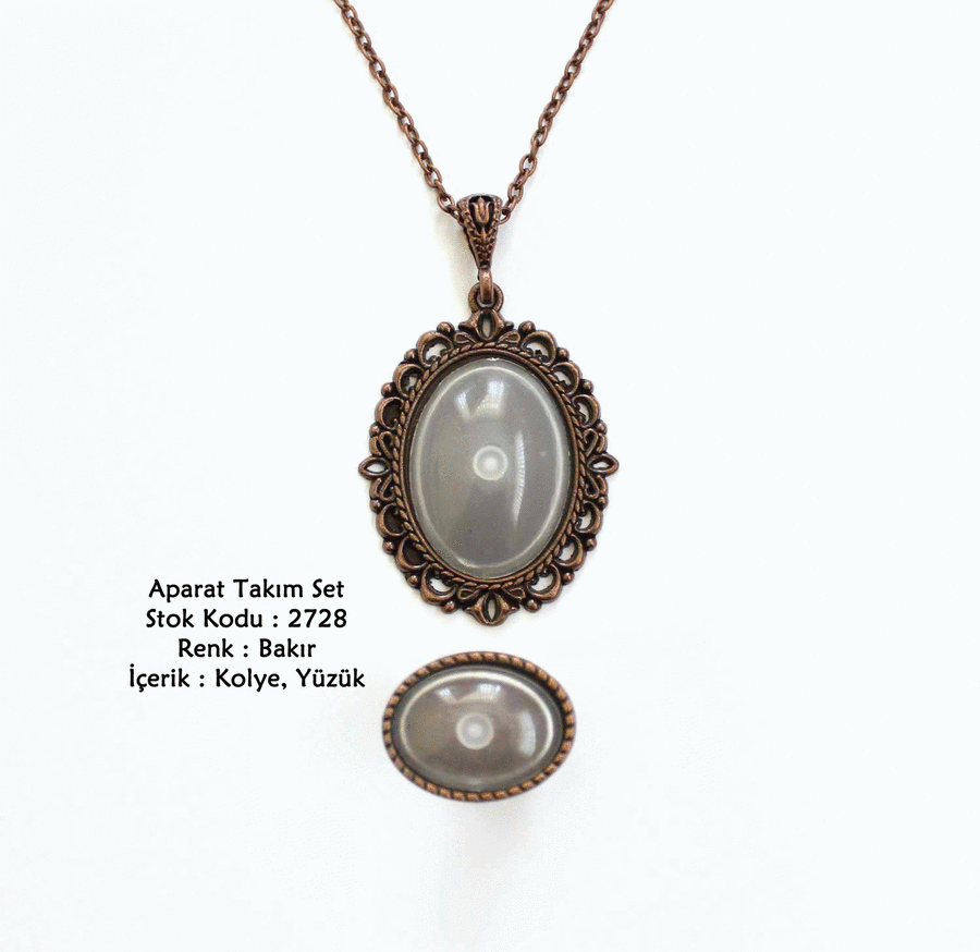 Kolye Yüzük Aparat Takım Set 2728 Bakır Kaplama