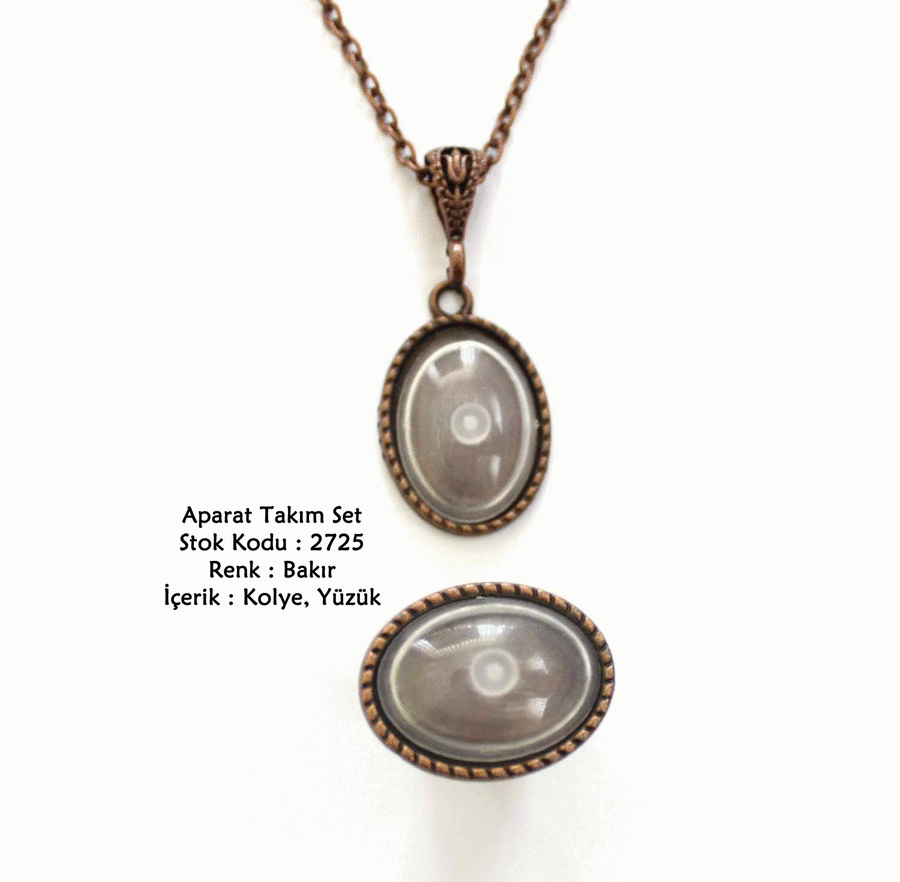 Kolye Yüzük Aparat Takım Set 2725 Bakır Kaplama