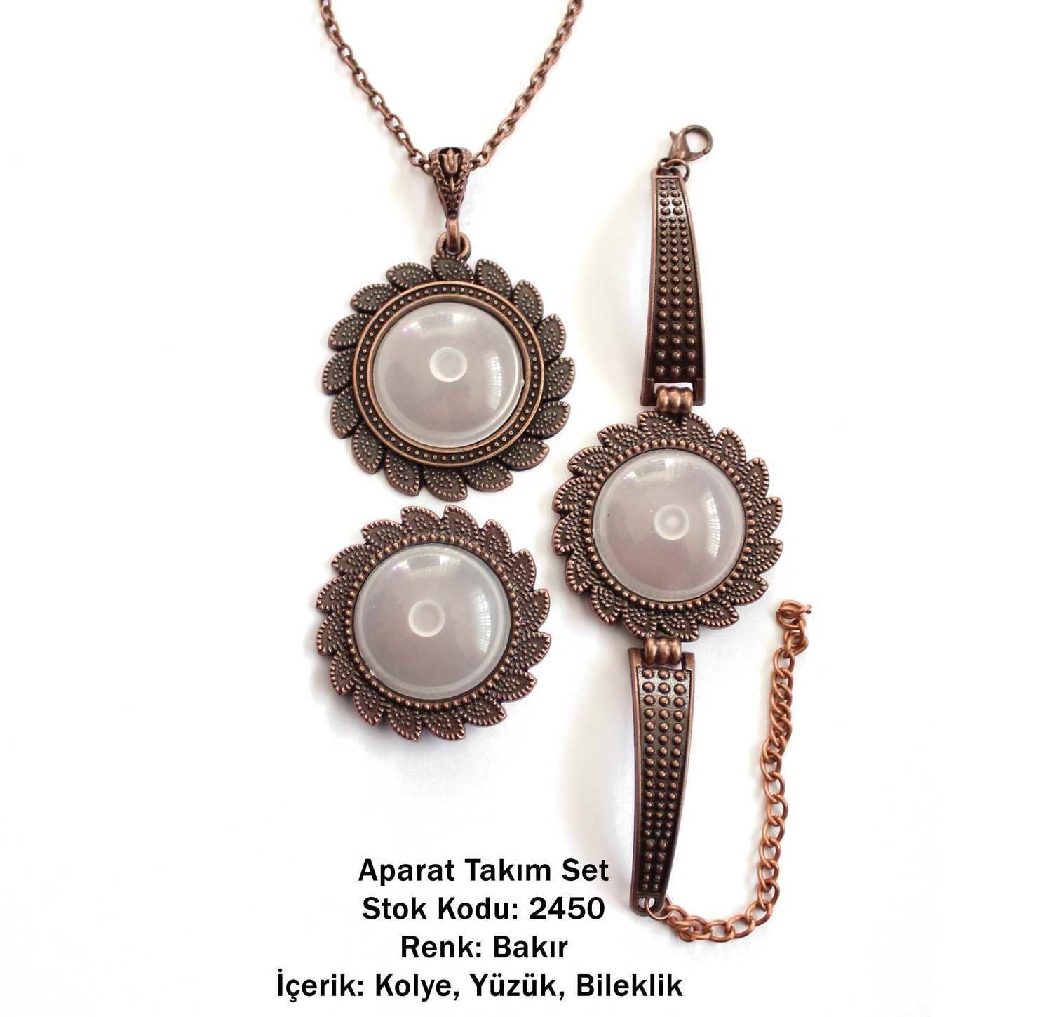 Kolye Bileklik Yüzük Aparat Takım Set 2450 Bakır Kaplama