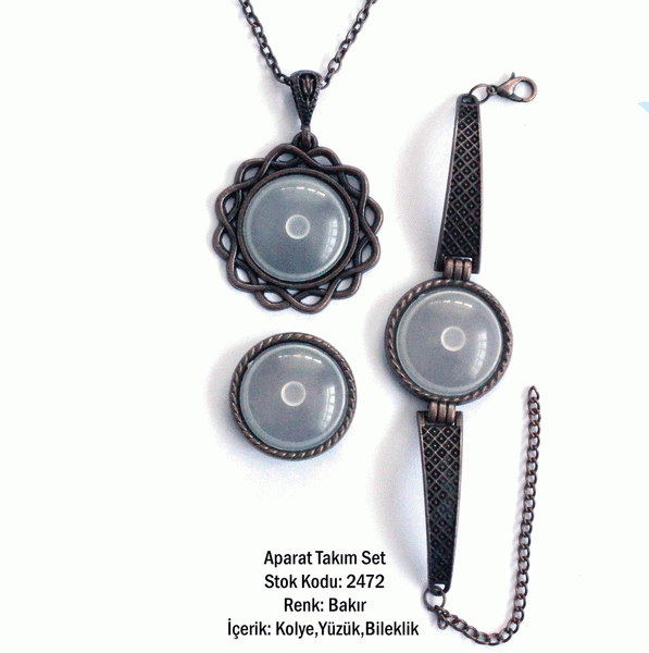 Kolye Bileklik Yüzük Aparat Takım Set 2472 Bakır Kaplama