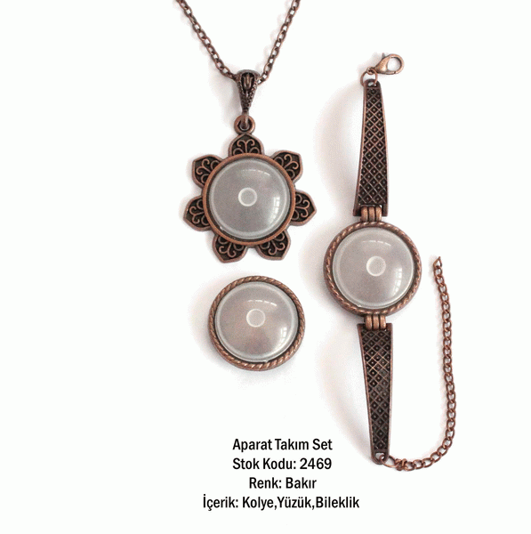 Kolye Bileklik Yüzük Aparat Takım Set 2469 Bakır Kaplama