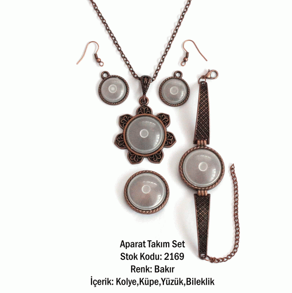 Kolye Bileklik Yüzük Küpe Aparat Takım Set 2169 Bakır Kaplama