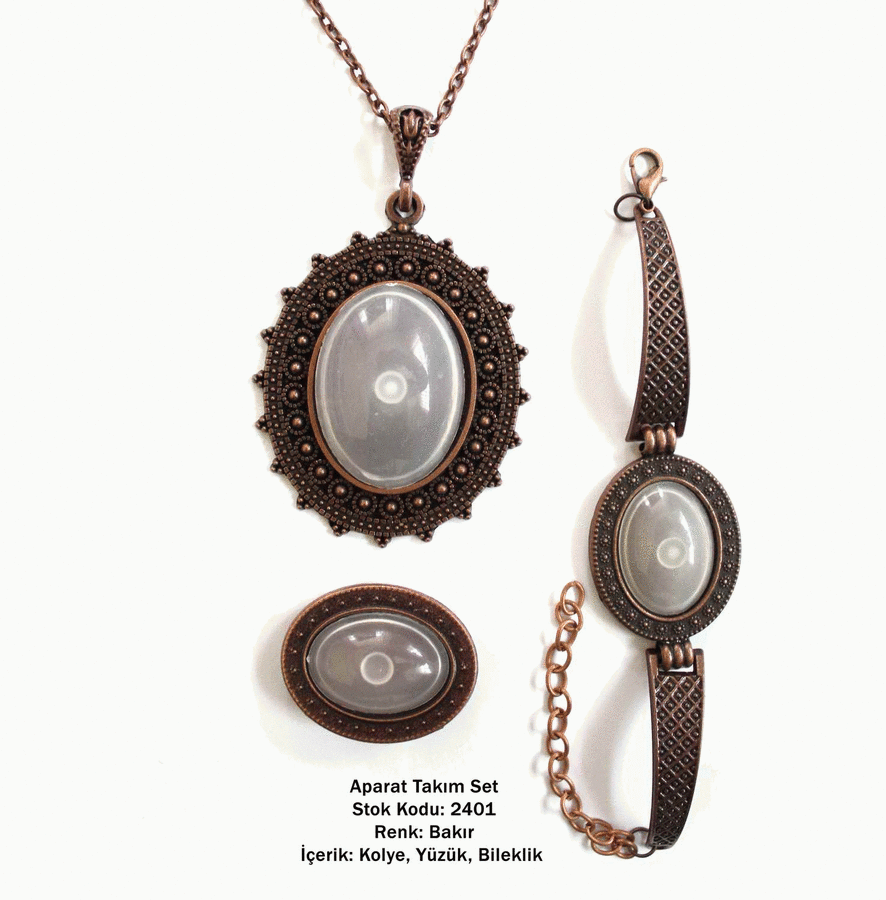 Kolye Bileklik Yüzük Aparat Takım Set 2401 Bakır Kaplama